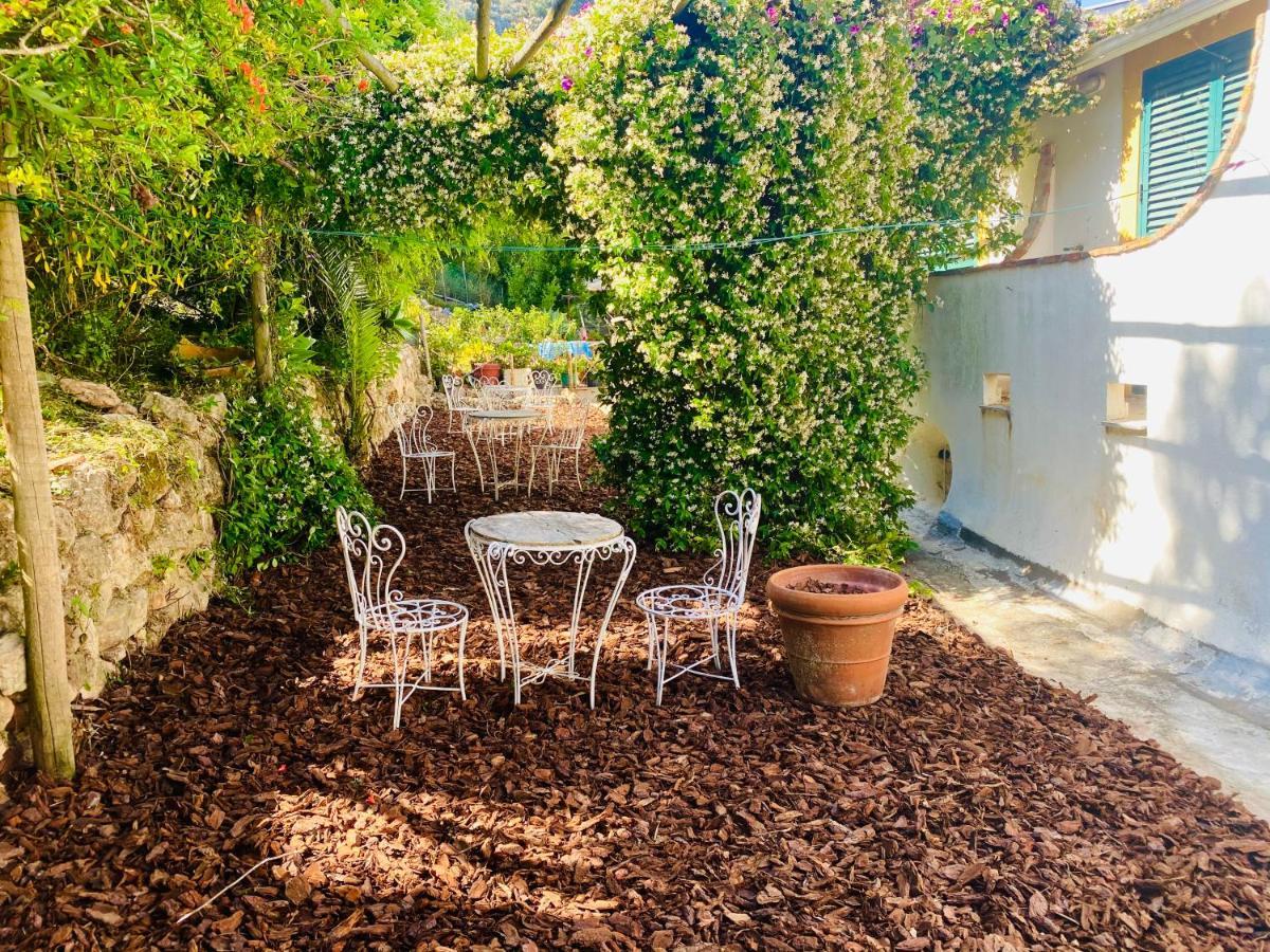 Casa Da Adoa B&B Portinho da Arrábida Eksteriør billede