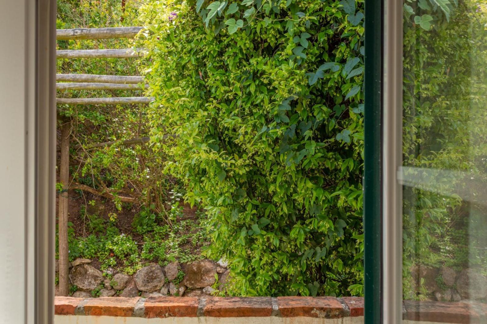 Casa Da Adoa B&B Portinho da Arrábida Værelse billede